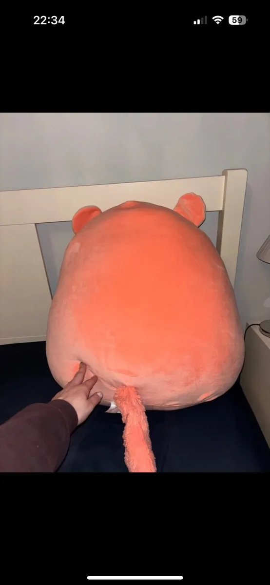 20” squishmallow - Image 3