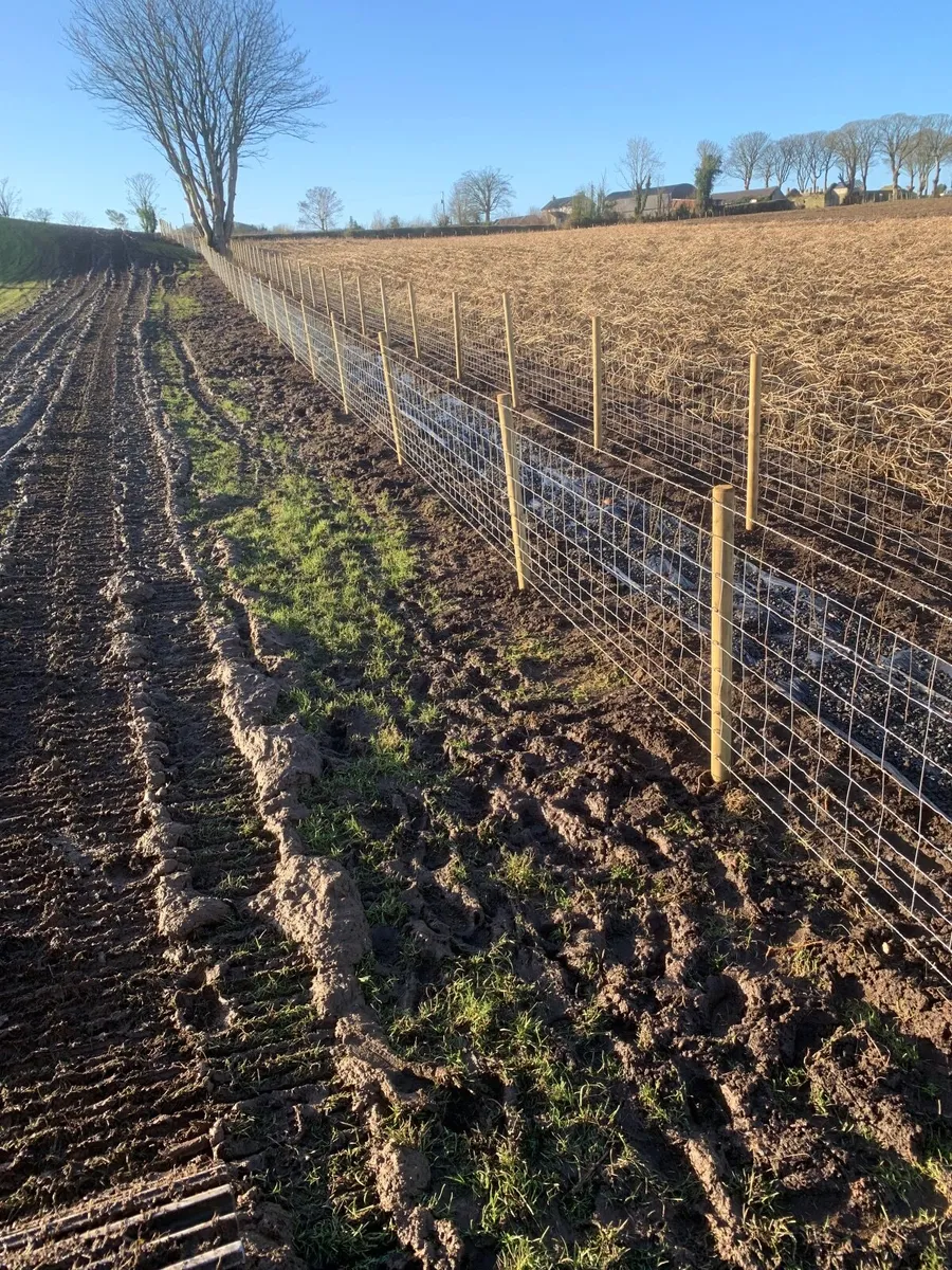 Digger work/ groundworks / fencing - Image 4