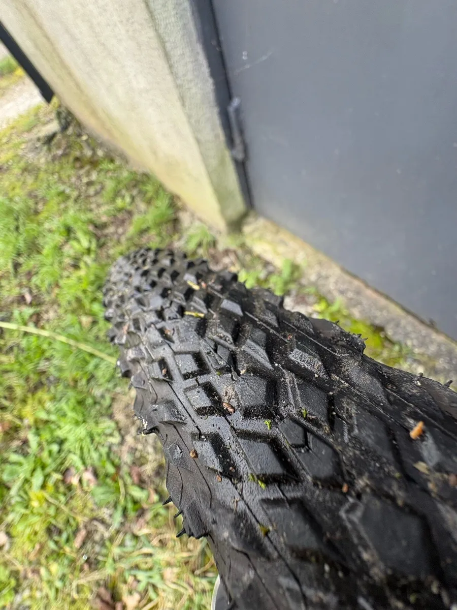 Giant Toughroad - Image 4