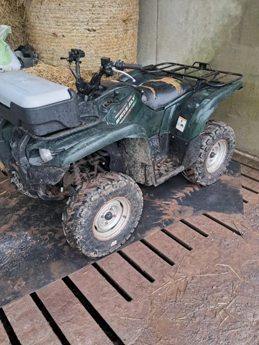 Quad Bike - Image 3