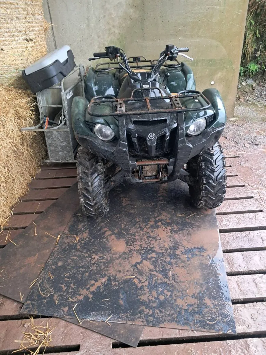 Quad Bike - Image 1