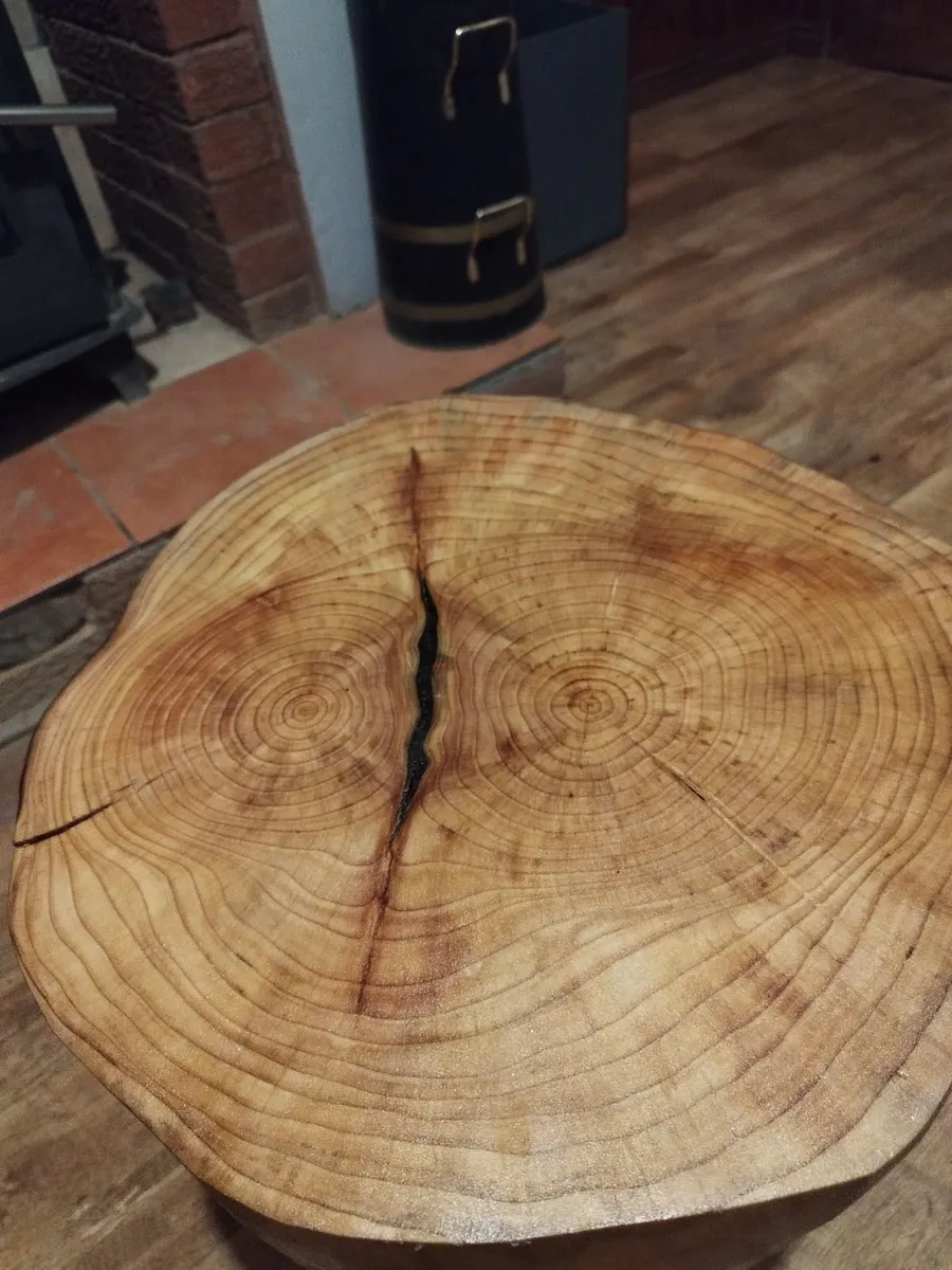 Live edge round coffee table - Image 4