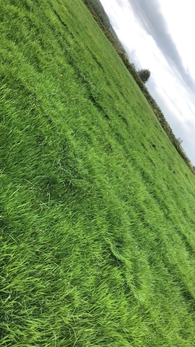 Land wanted for rent / Lease - Image 1