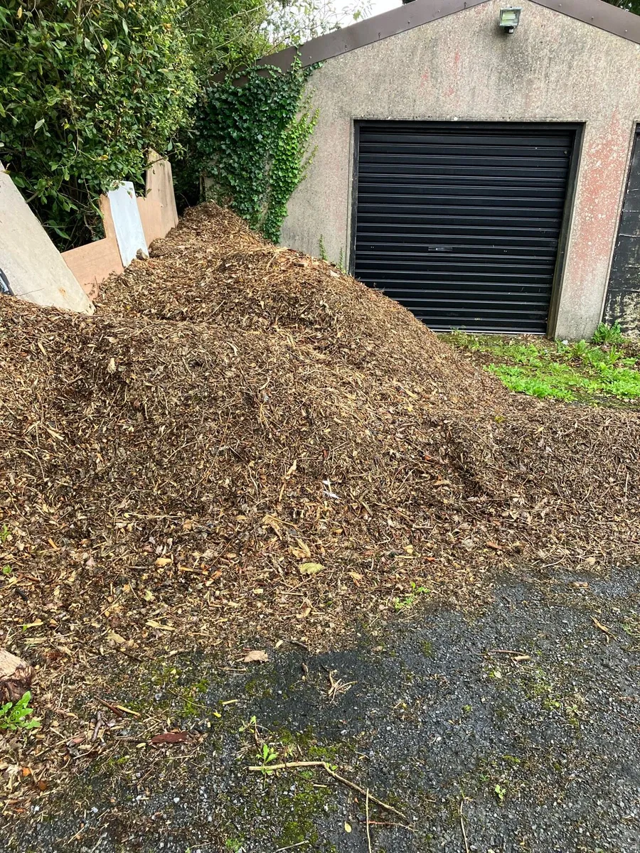 Free wood chip / mulch