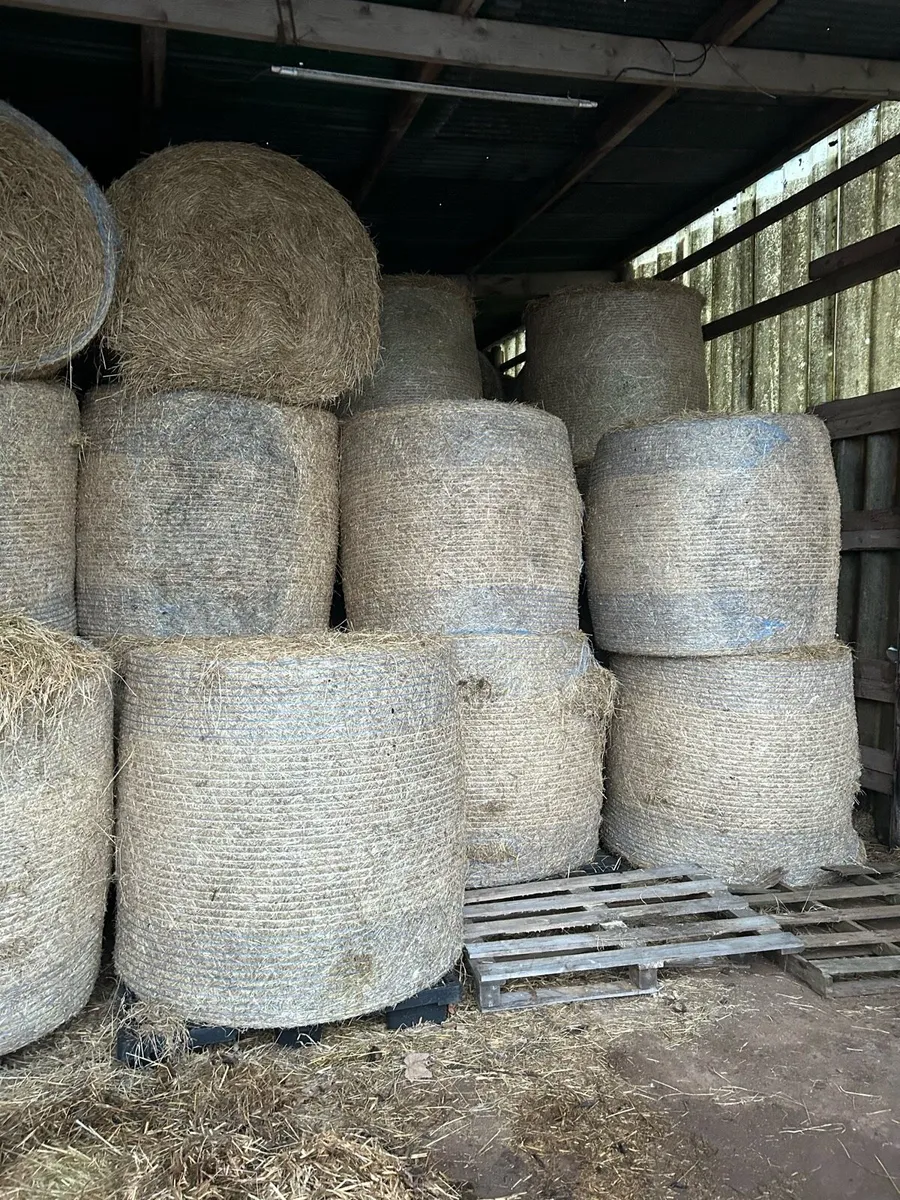 Hay bales