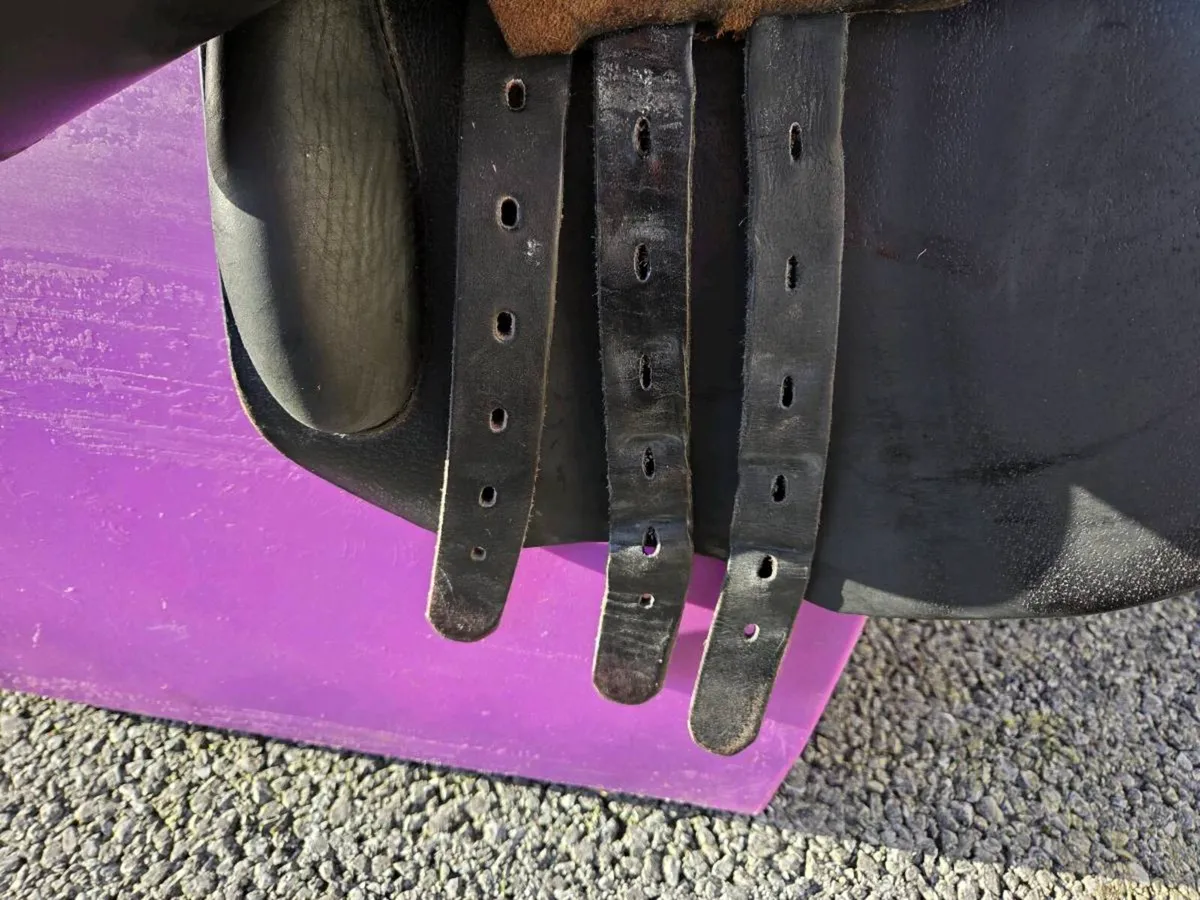 17" Prestige Meredith saddle - Image 3