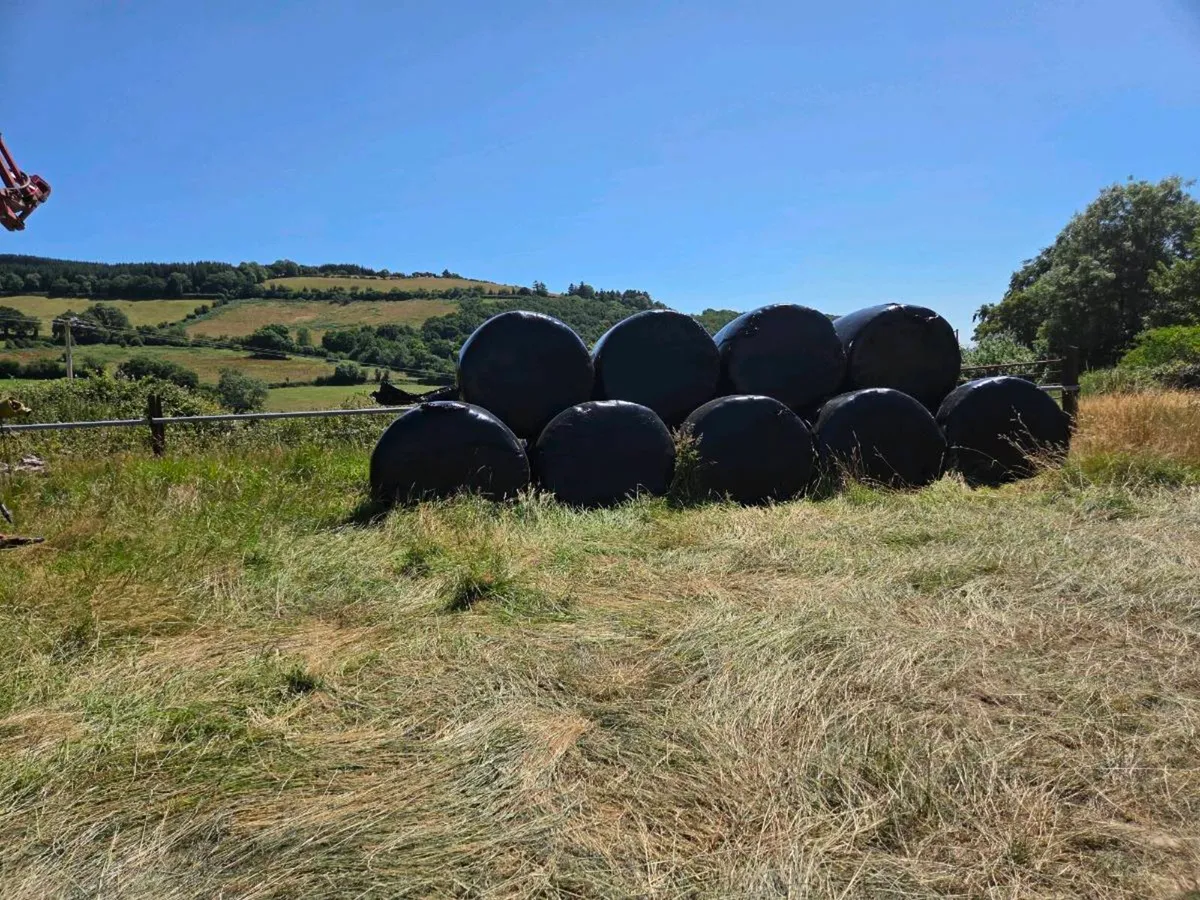 32 new grass 2025 silage bales