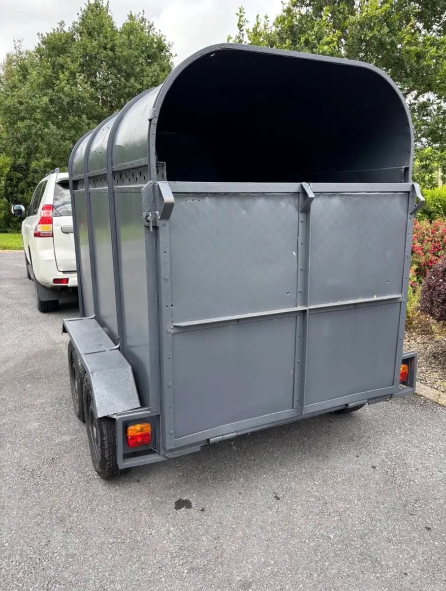 8x4”6 Dooley cattle box - Image 2