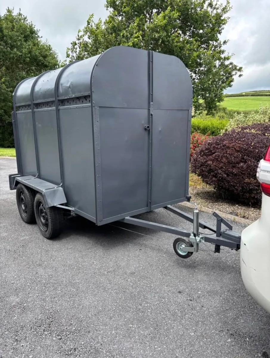 8x4”6 Dooley cattle box - Image 1