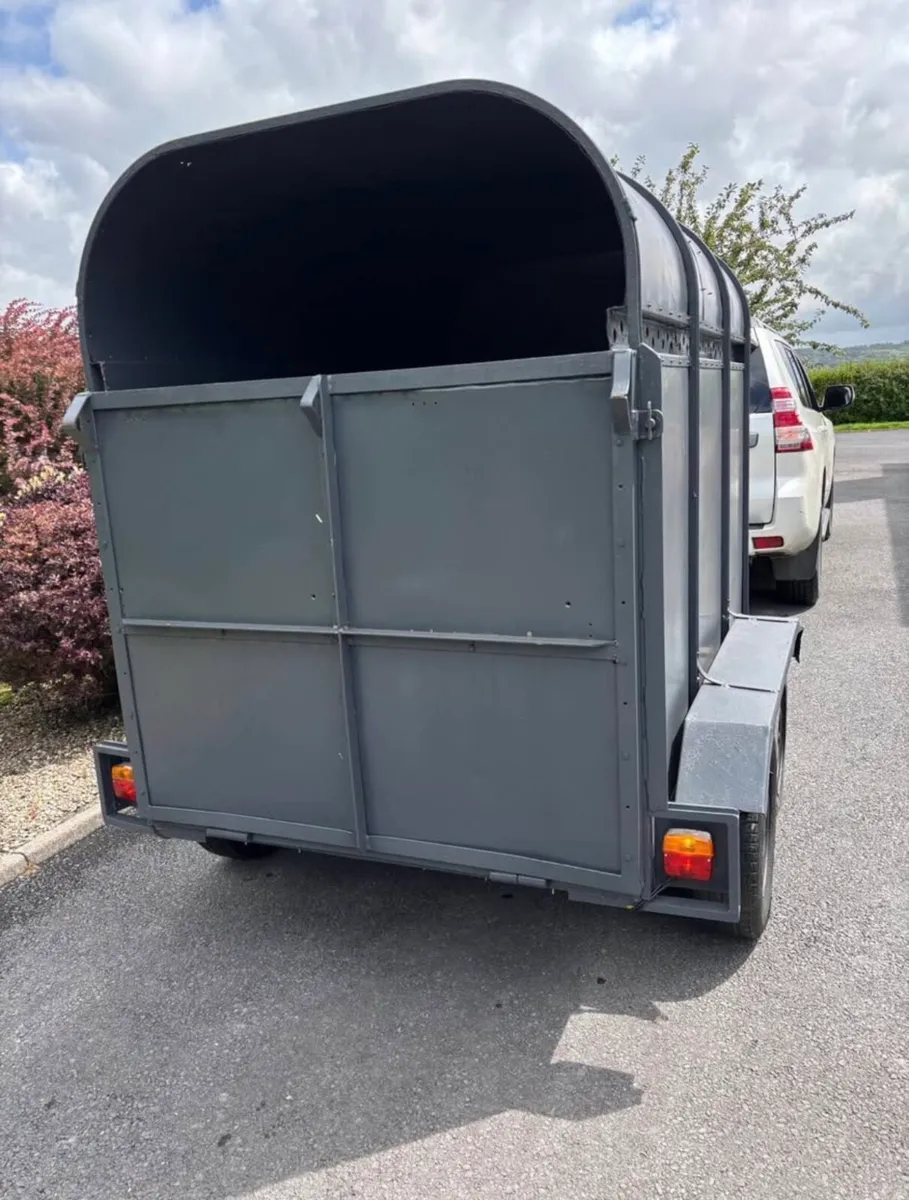 8x4”6 Dooley cattle box - Image 3