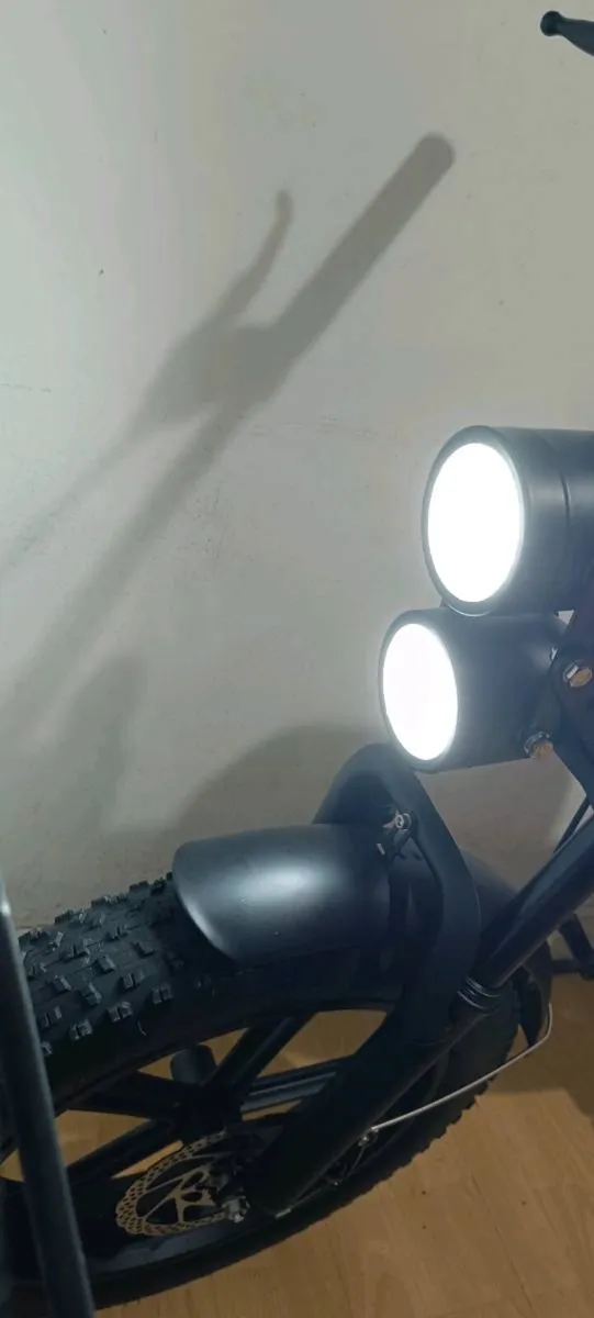 Elekric bike - Image 3