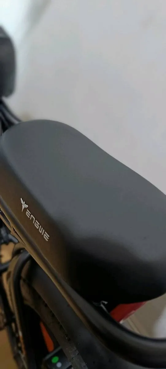 Elekric bike - Image 4