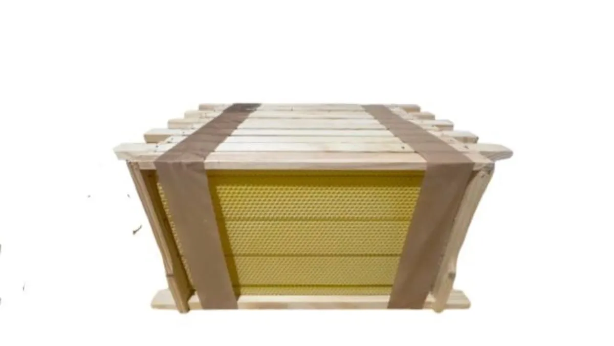 National frames assembled and waxed - Image 2