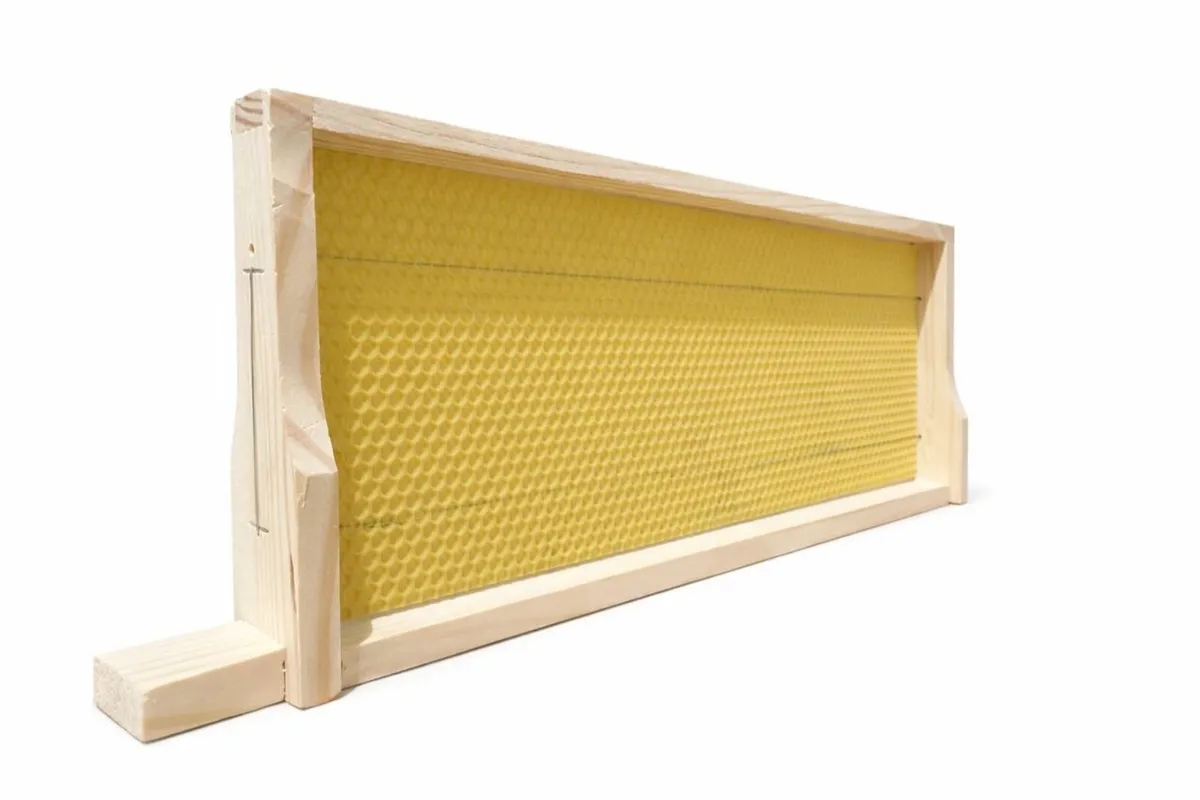 National frames assembled and waxed - Image 4