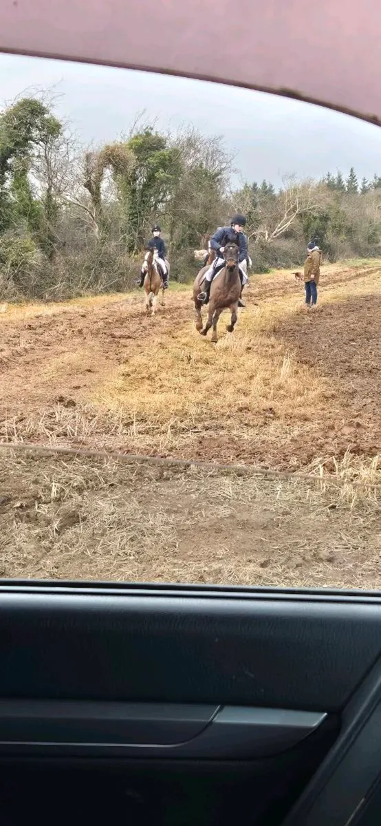 Lot 59 4 of March - Image 2