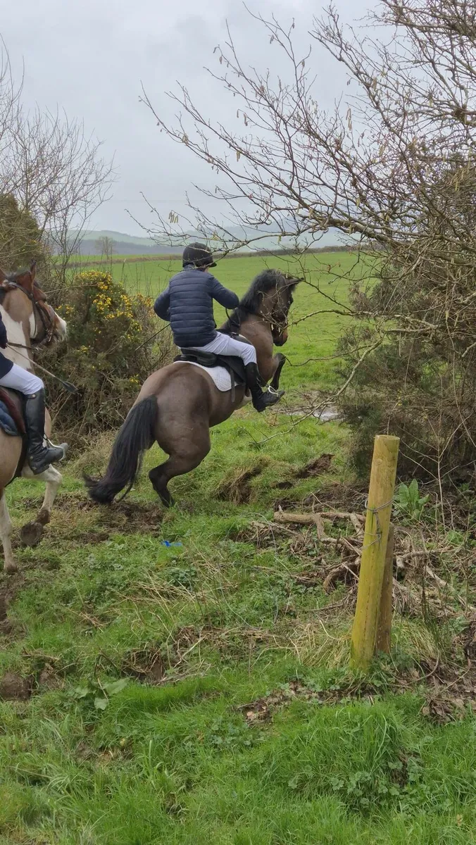 Lot 59 4 of March - Image 1