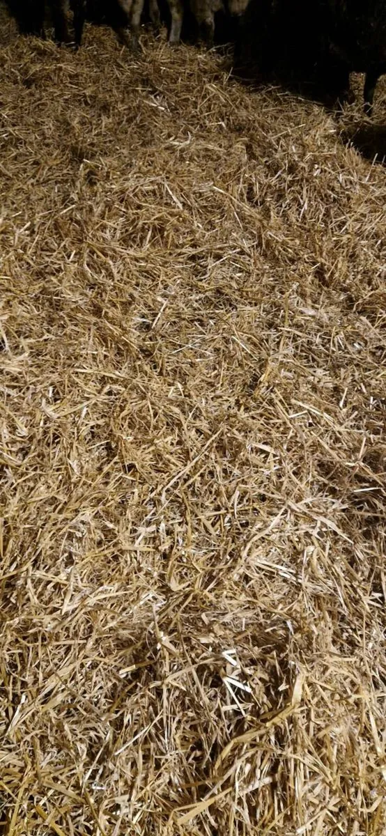 Straw - Image 1