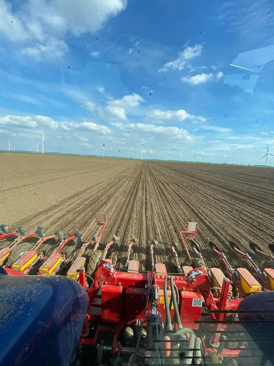 Beet sugar and fodder - Image 4