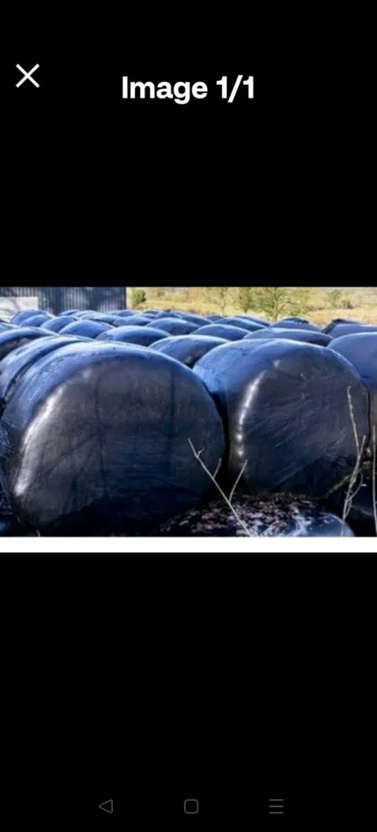 Organic bales of silage/haylage 30/35 euro