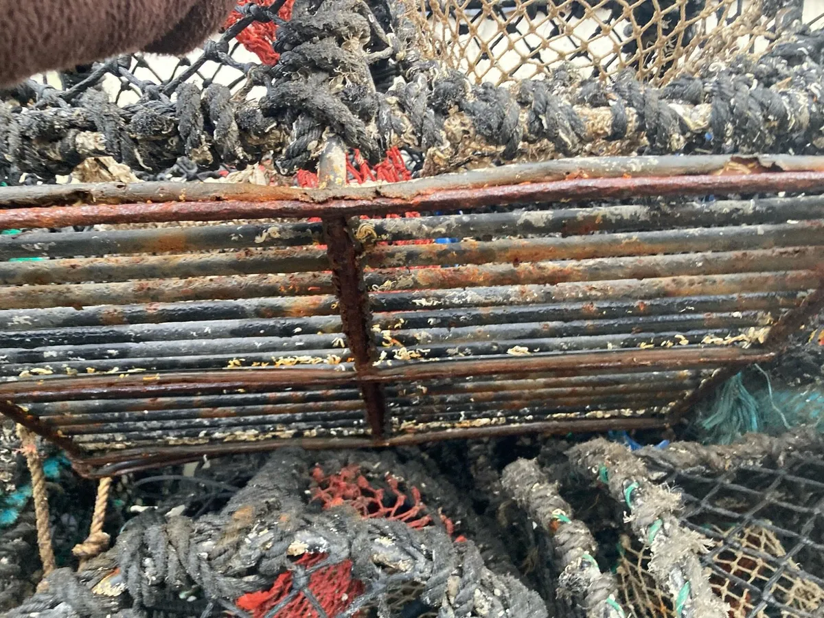 Crab lobster pots for sale - Image 1