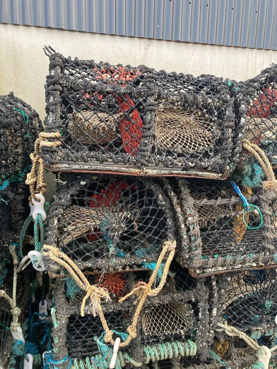 Crab lobster pots for sale - Image 2