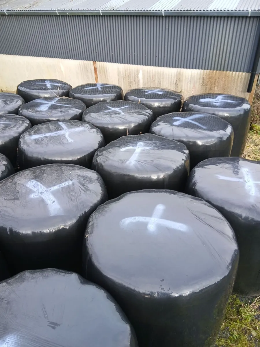 Silage bales. - Image 3