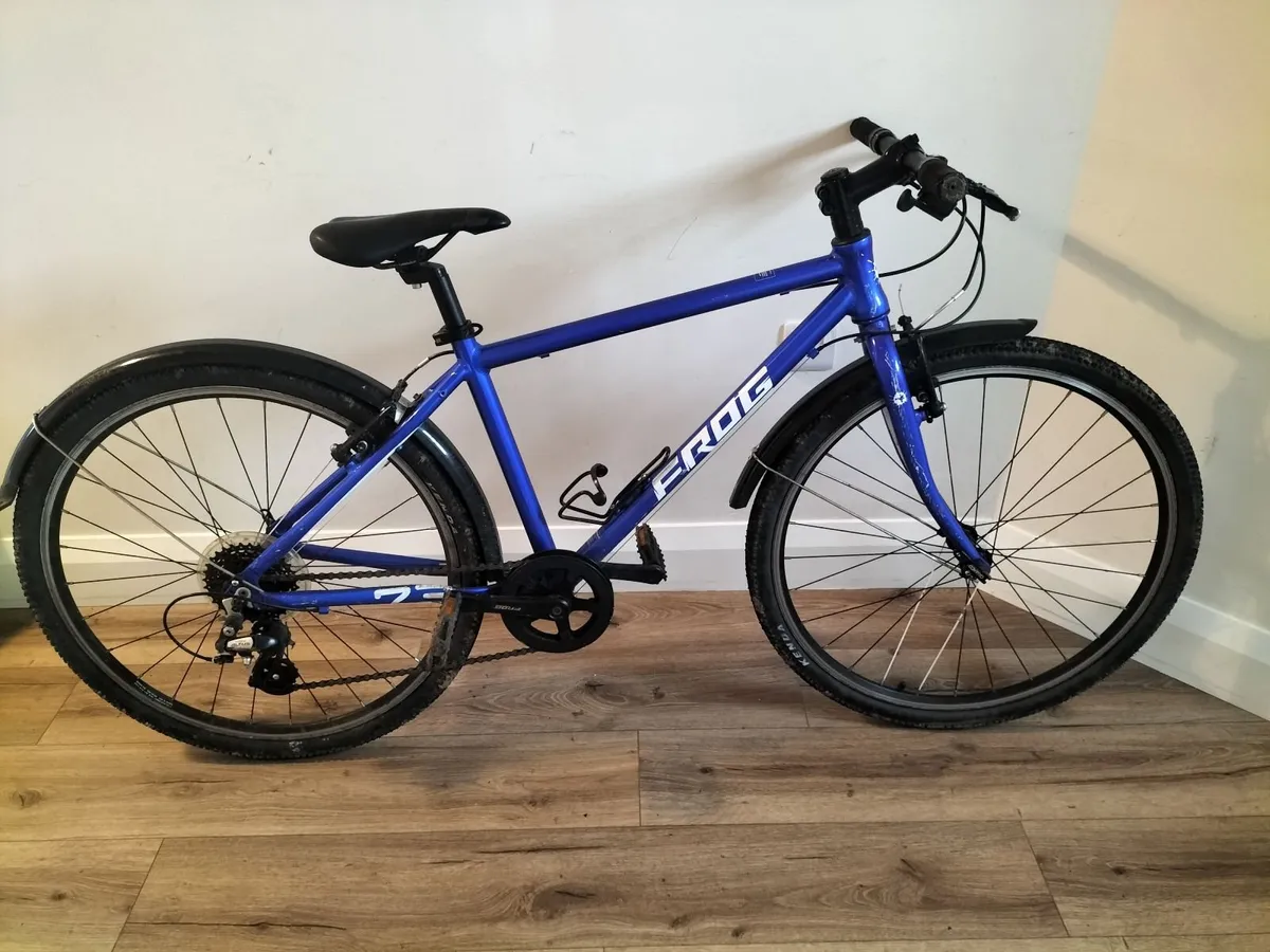 Kids Frog Bike - Image 1