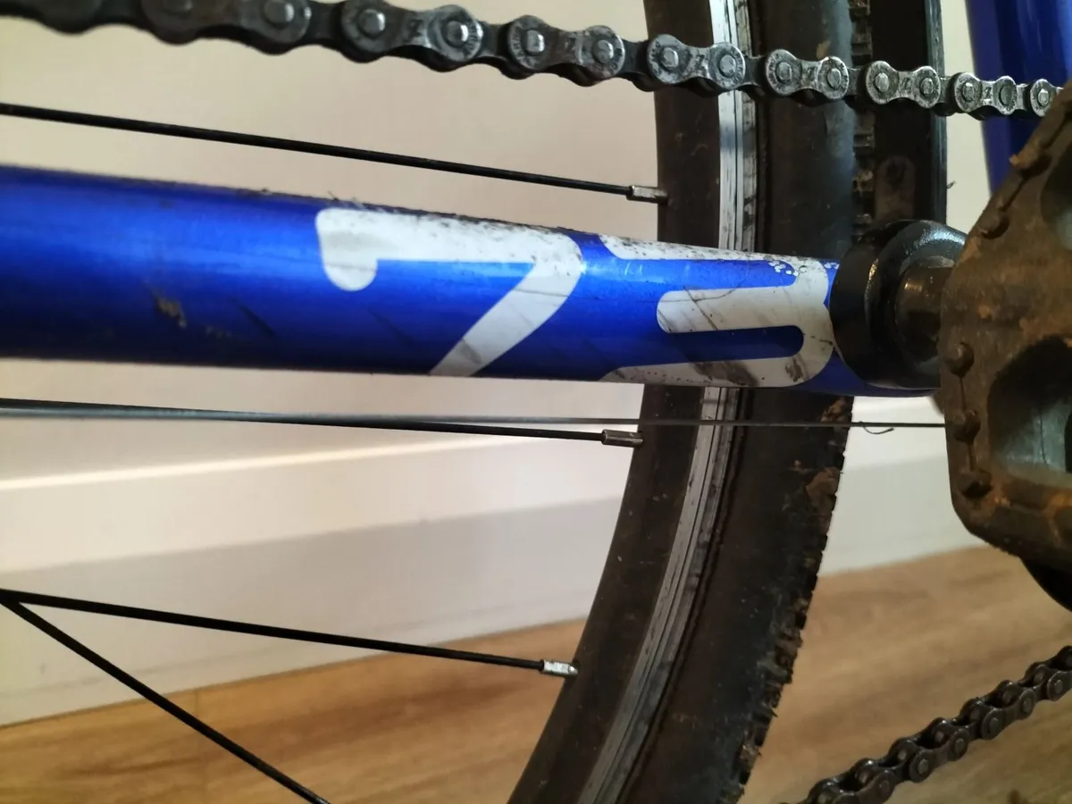 Kids Frog Bike - Image 3