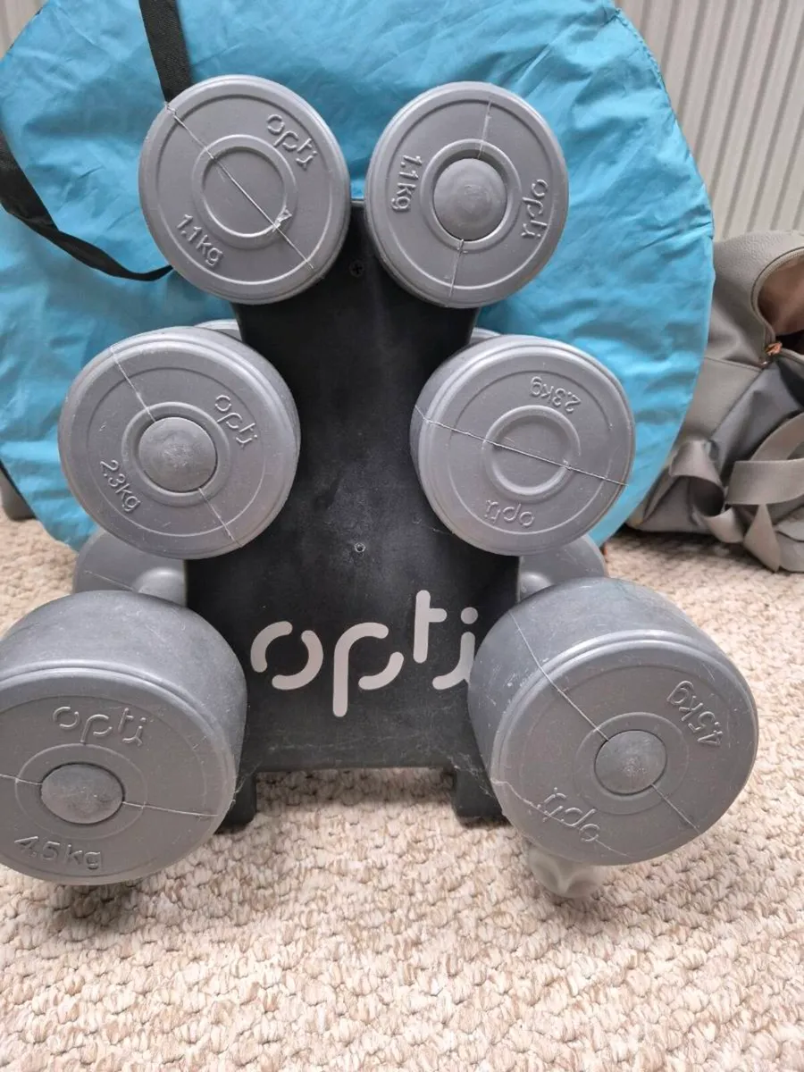 Dumbell set