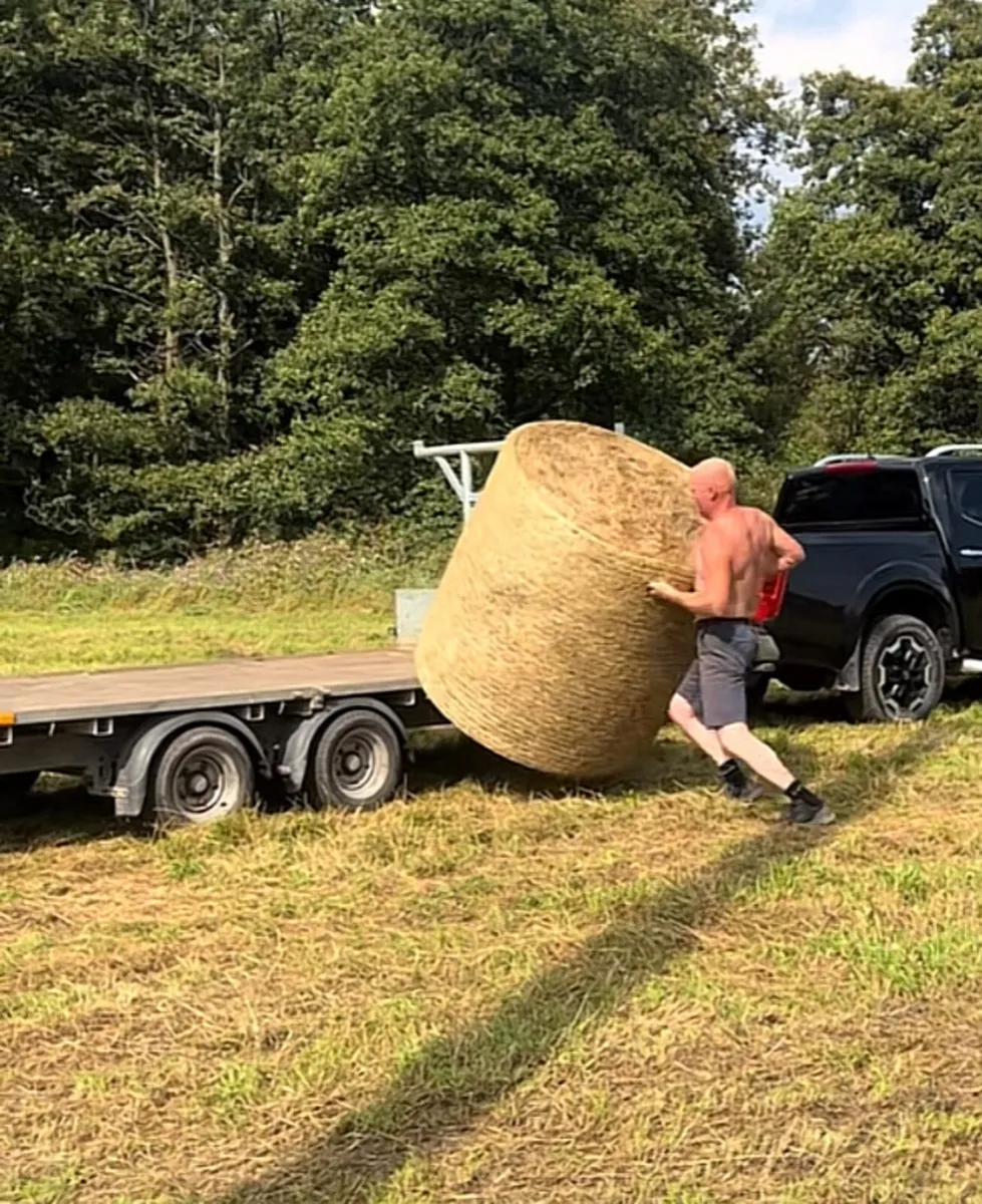HAY & STRAW         **ALL TOP QUALITY ** - Image 1