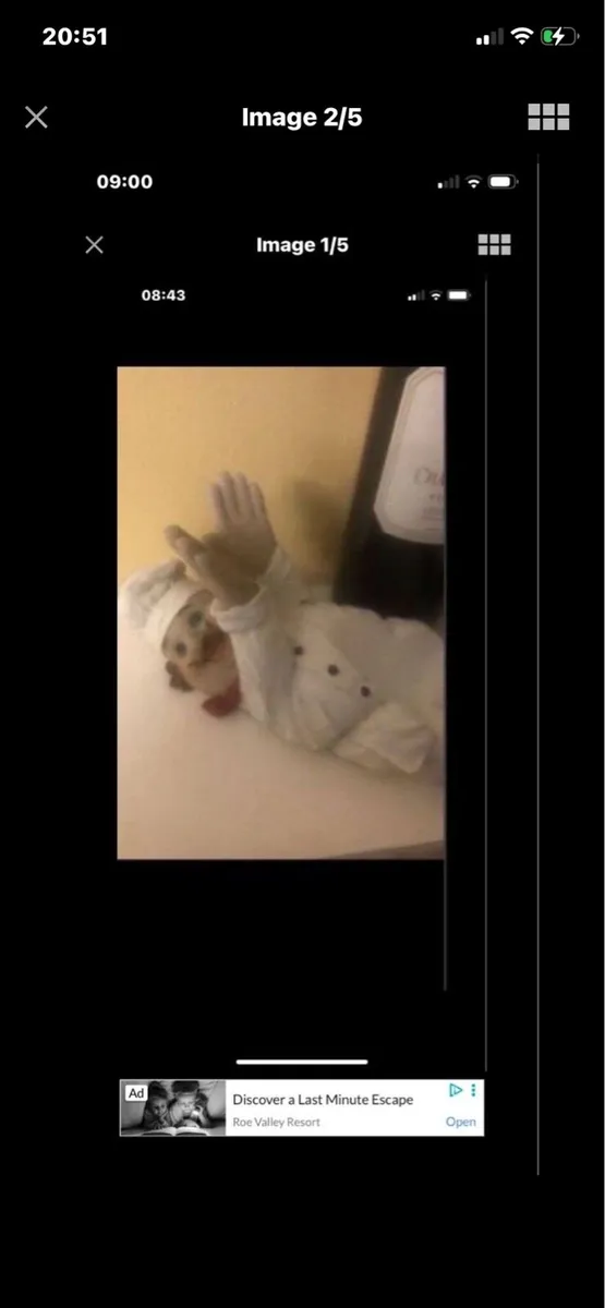 Chef Wine Holder - Image 3