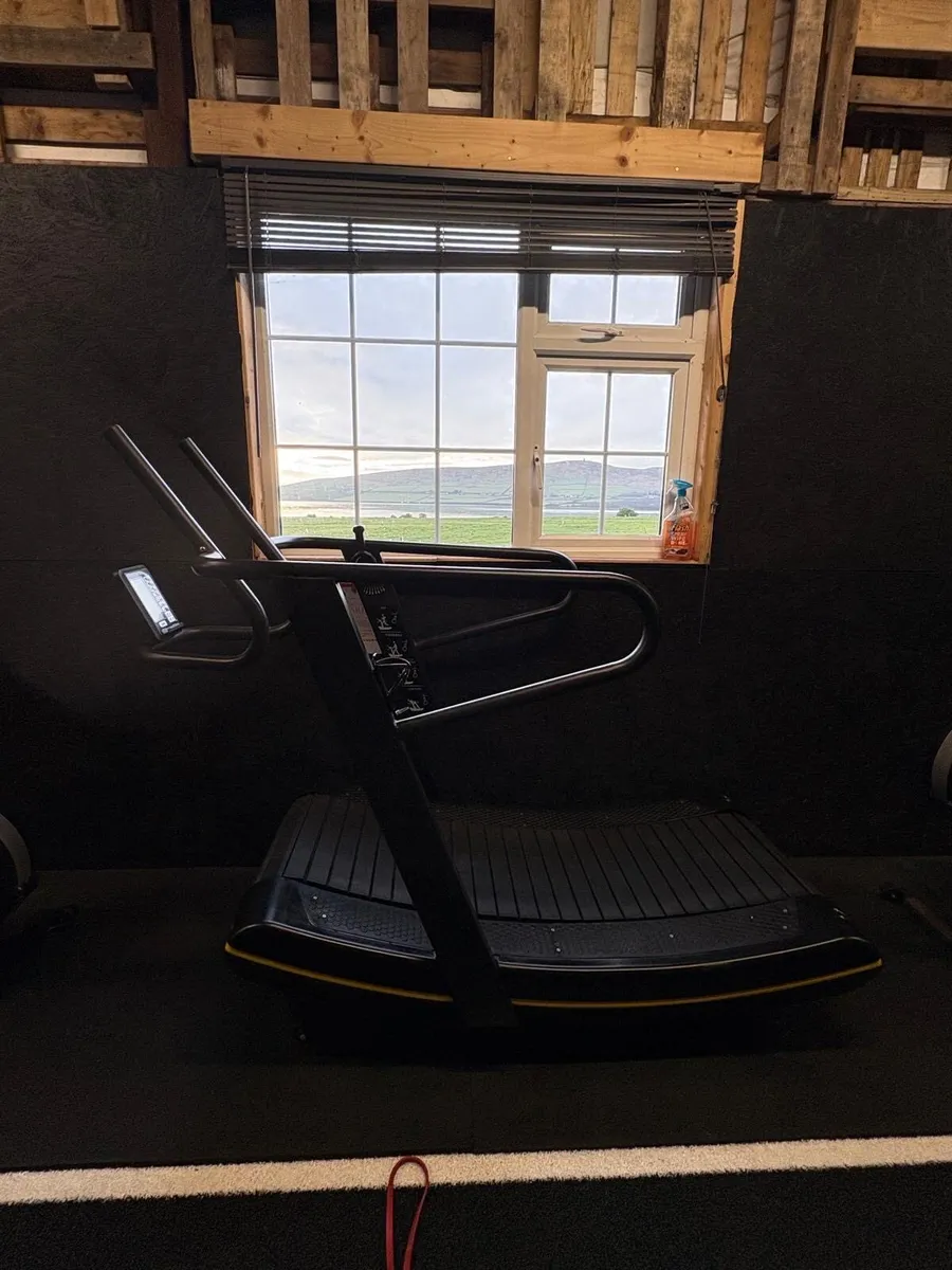 Curved treadmill - Image 1