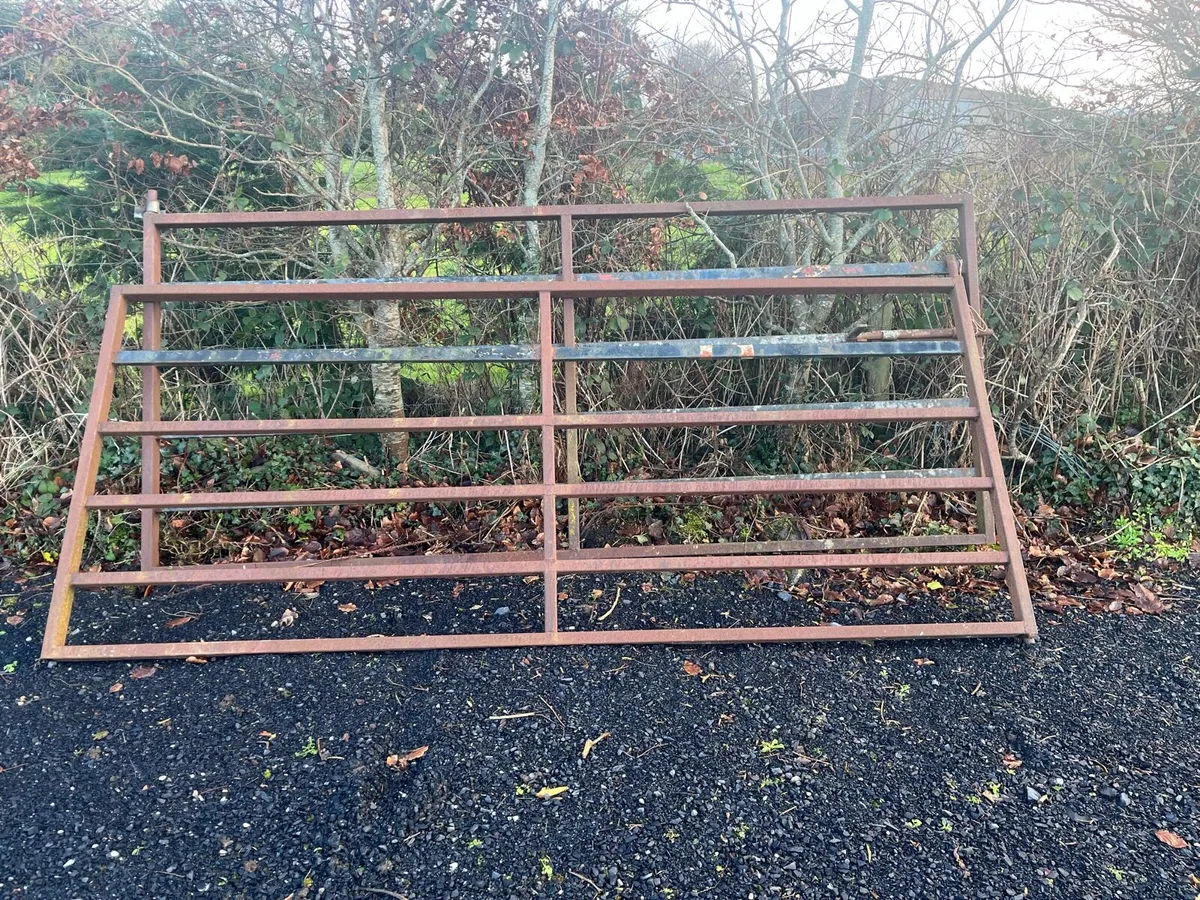 Selection of Antiques - Image 1