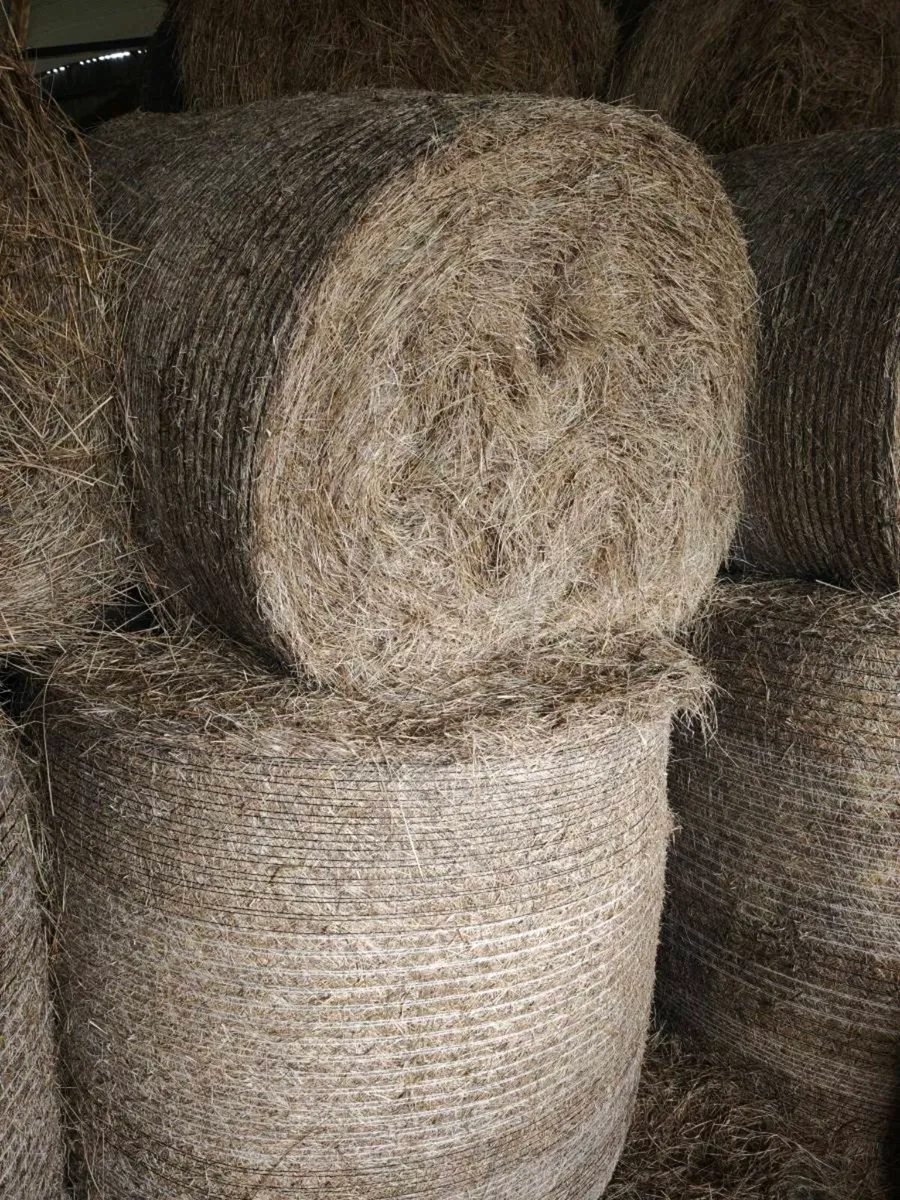 Hay & Bedding - Image 1