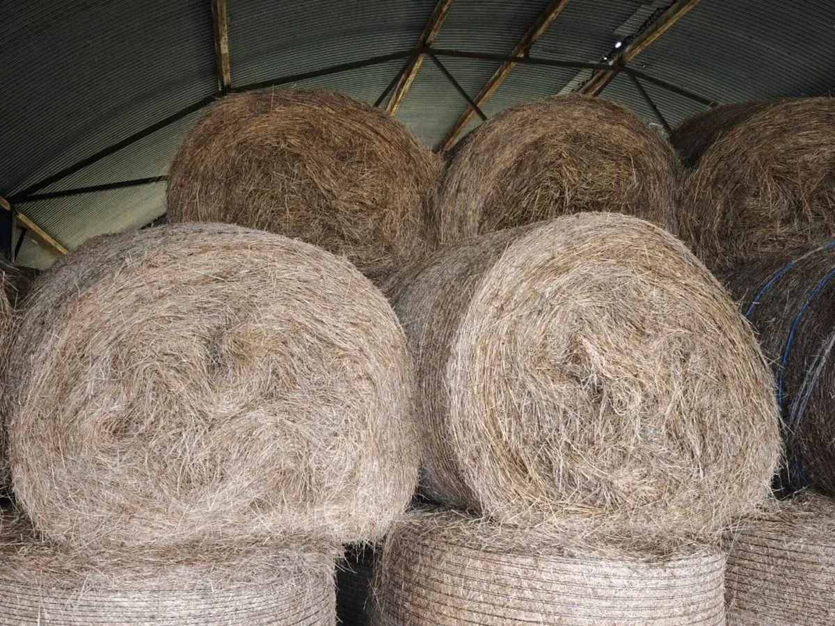 Hay & Bedding - Image 2