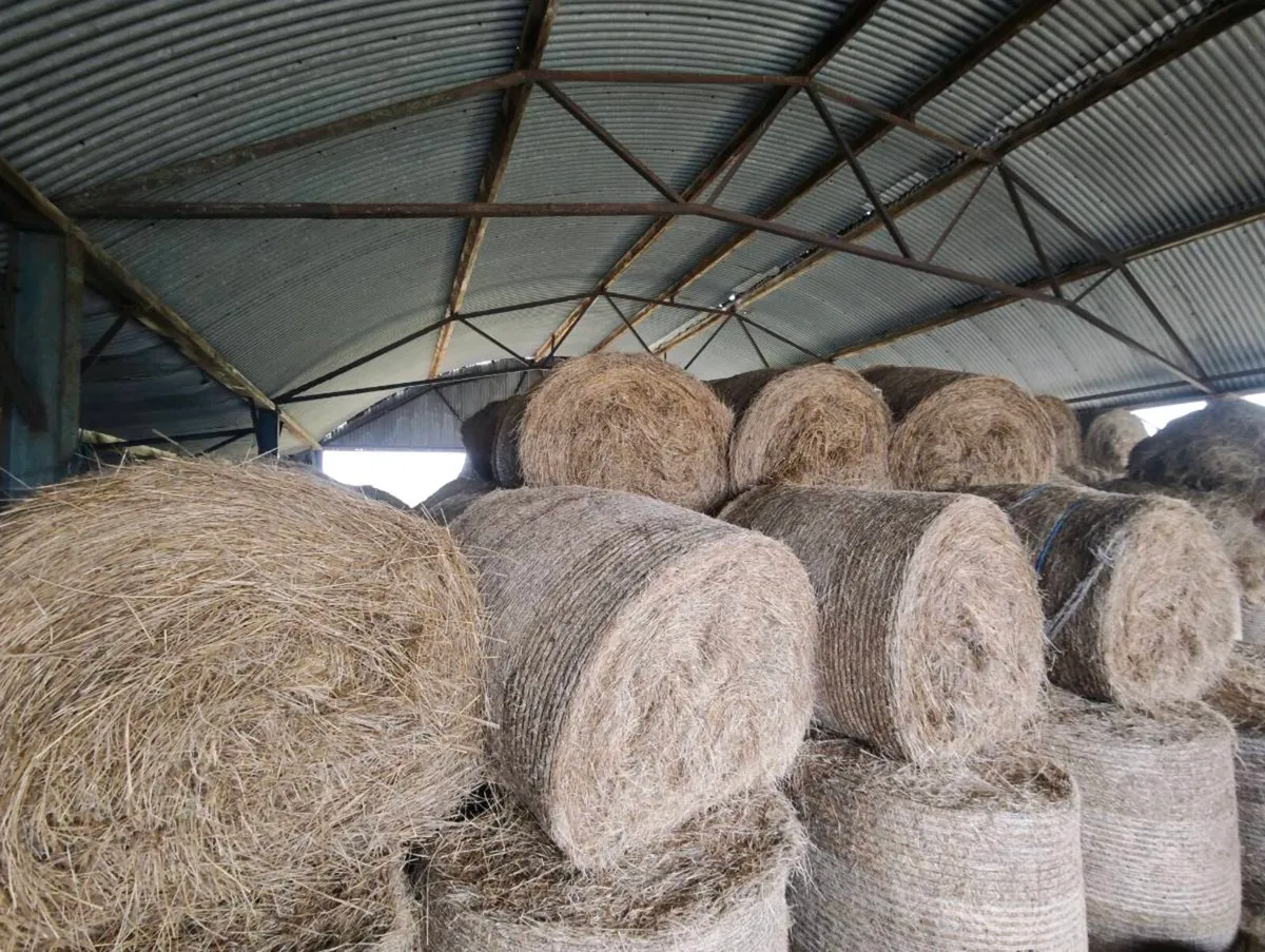 Hay & Bedding - Image 3