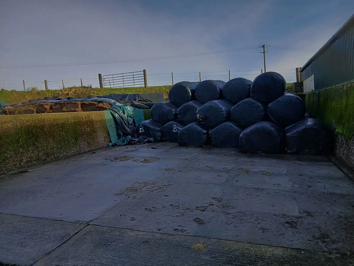 Bale silage and 1st crop Hay all 4x4 - Image 1