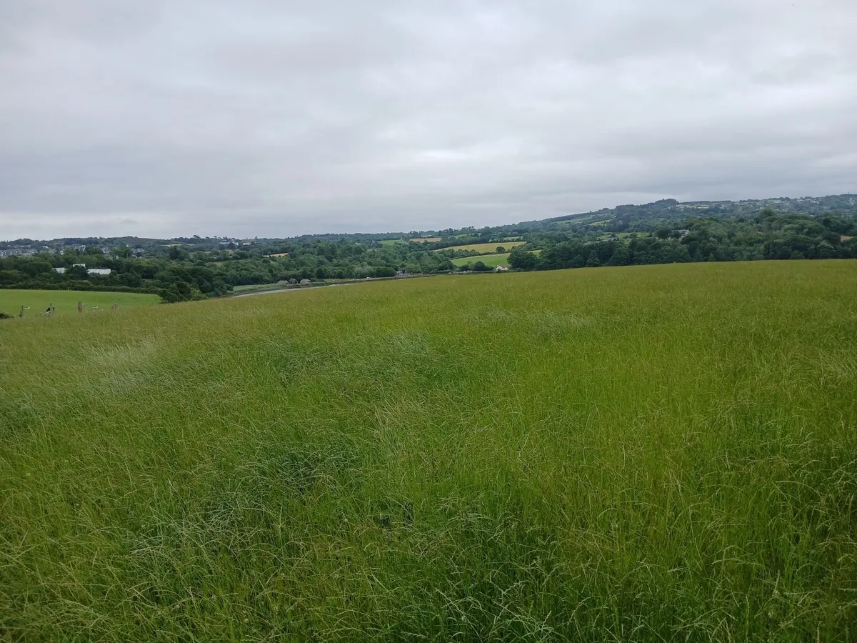 Bale silage and 1st crop Hay all 4x4 - Image 2