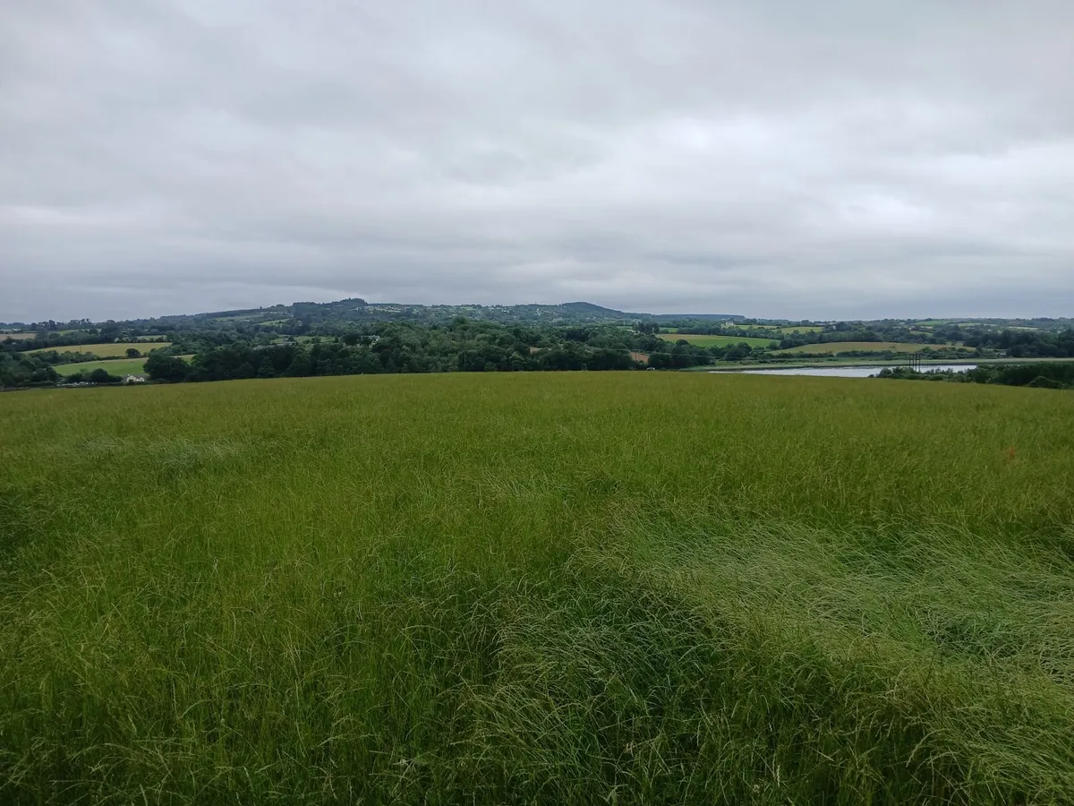 Bale silage and 1st crop Hay all 4x4 - Image 3