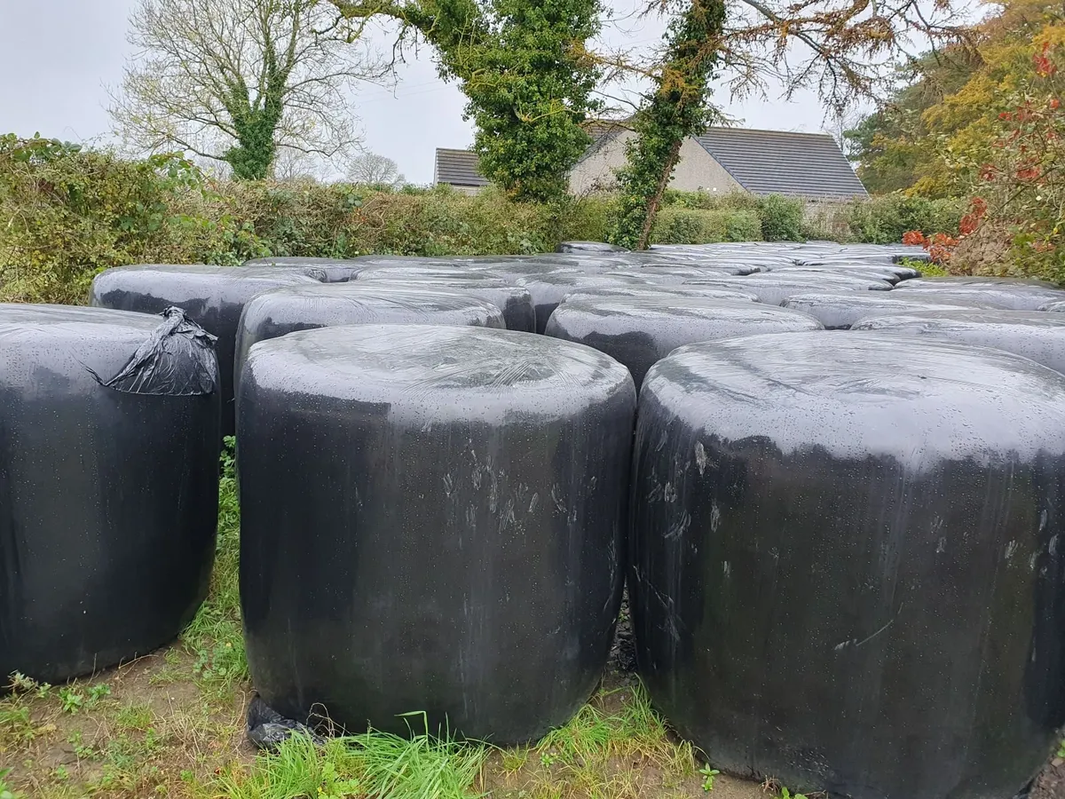 Hay and Silage - Image 1