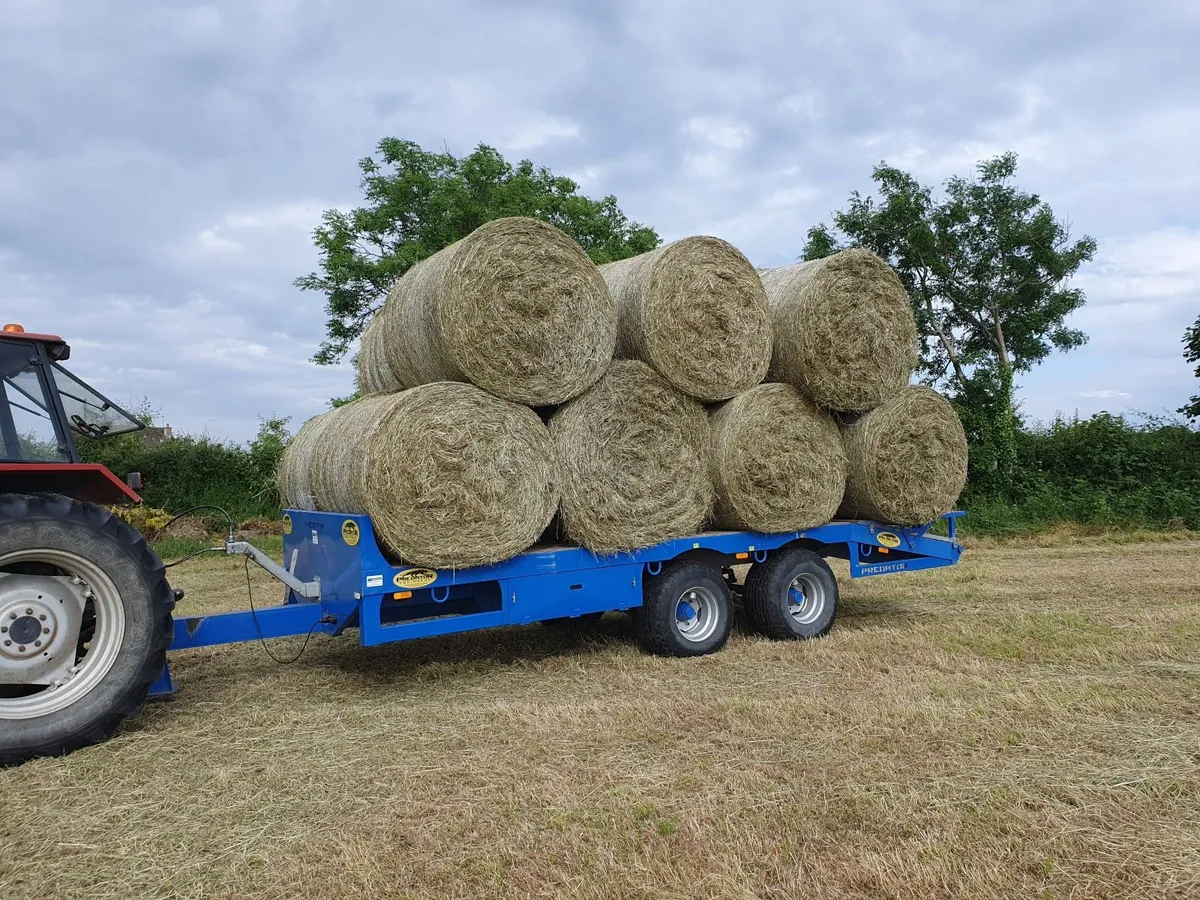 Hay and Silage - Image 2