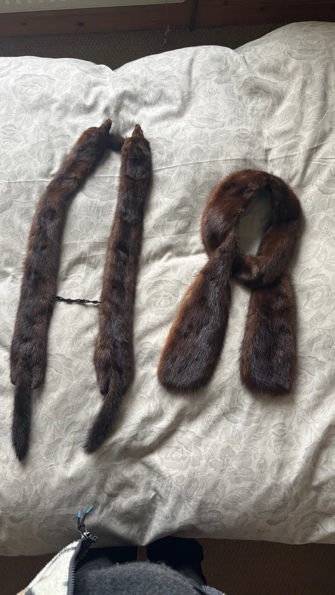 Fur stole plus collar - Image 1