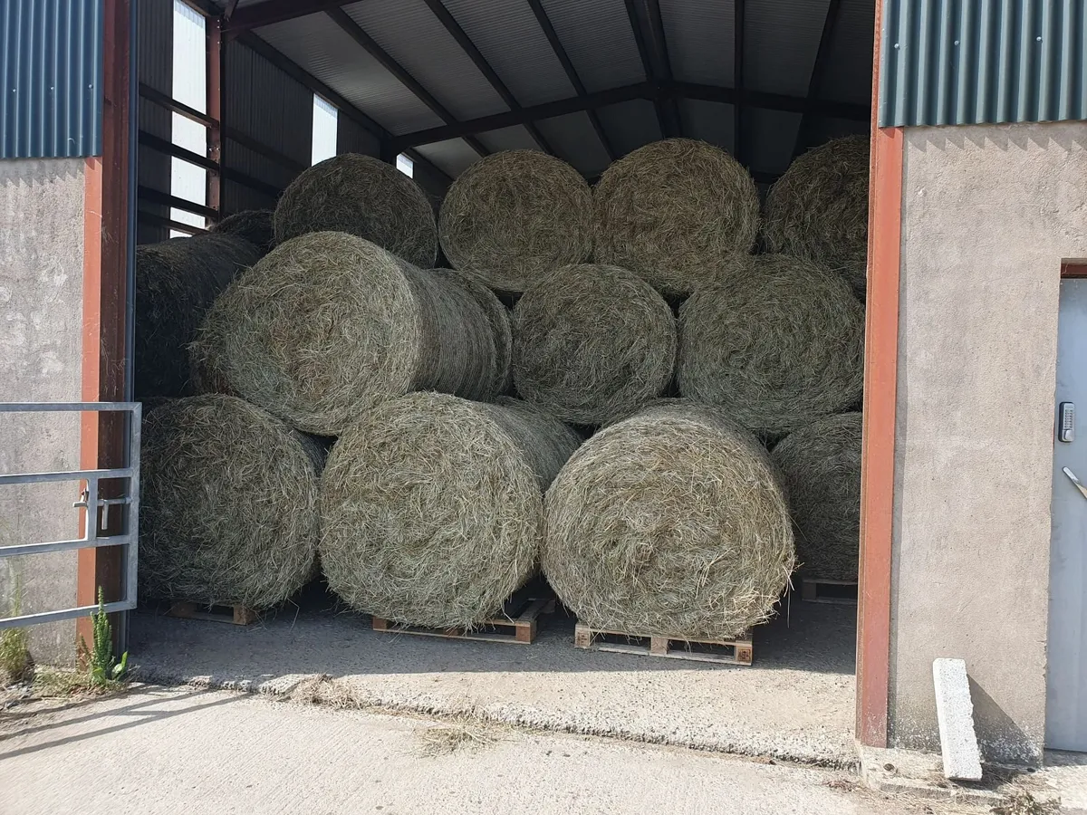 Hay and Silage - Image 3