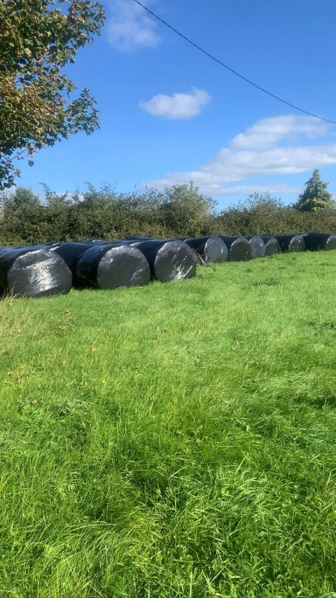 Silage