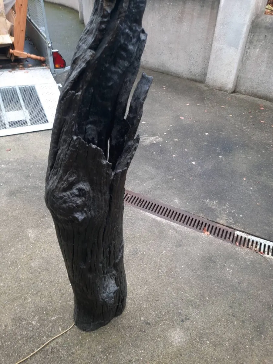 Bog oak lamp - Image 1