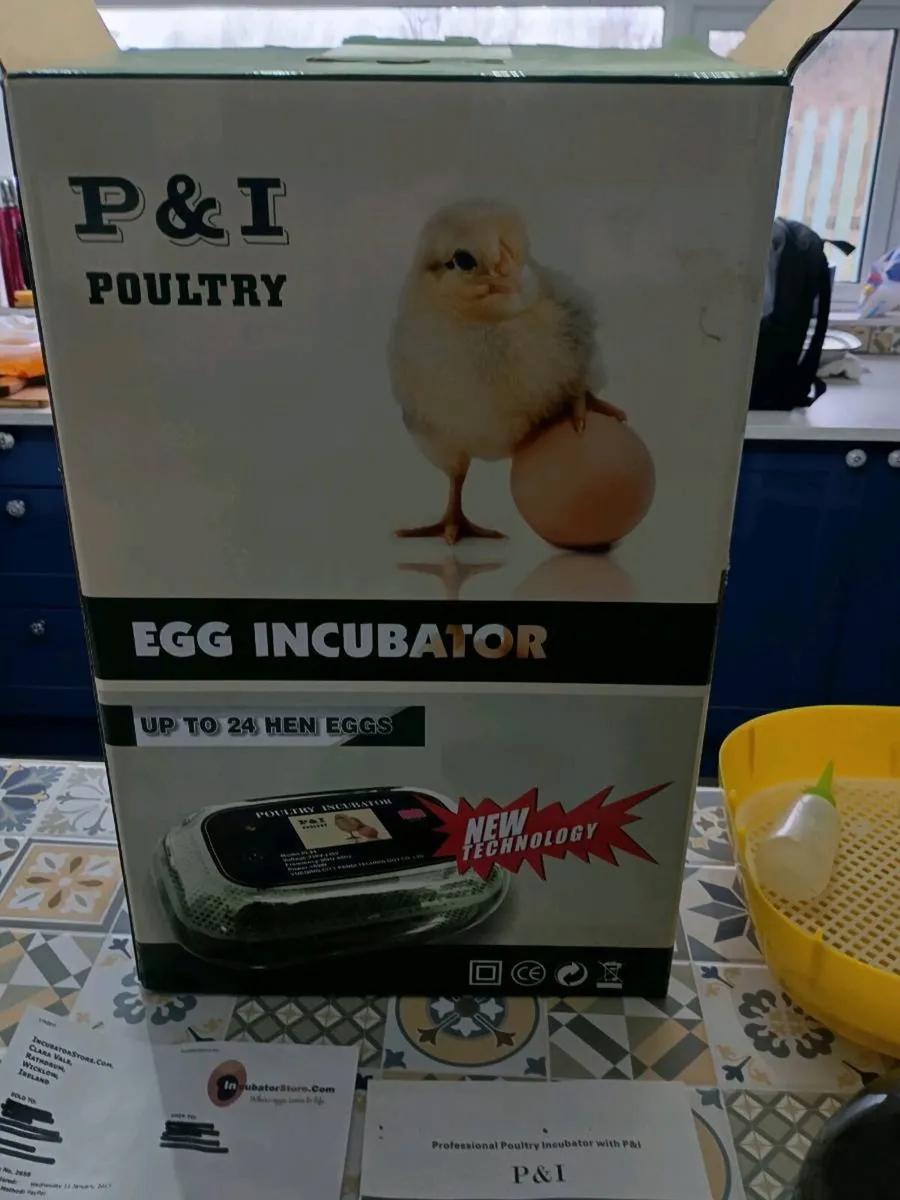 Egg incubator - Image 1
