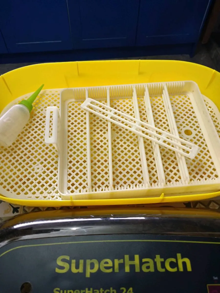 Egg incubator - Image 3