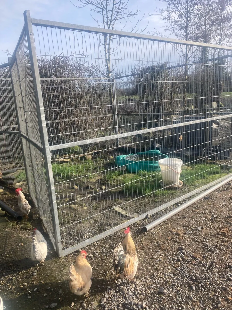 Dog run and kennel - Image 3