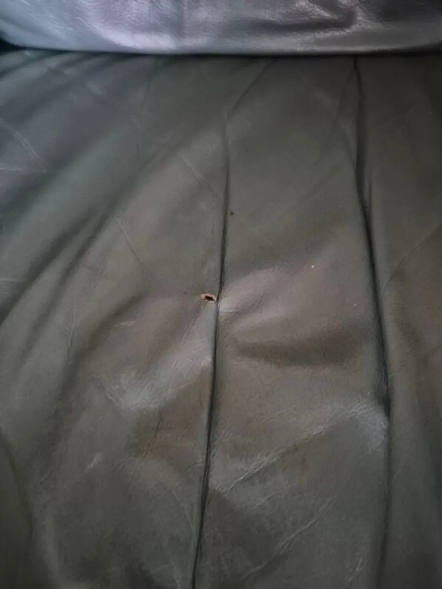 Green Leather Armchair - Image 4