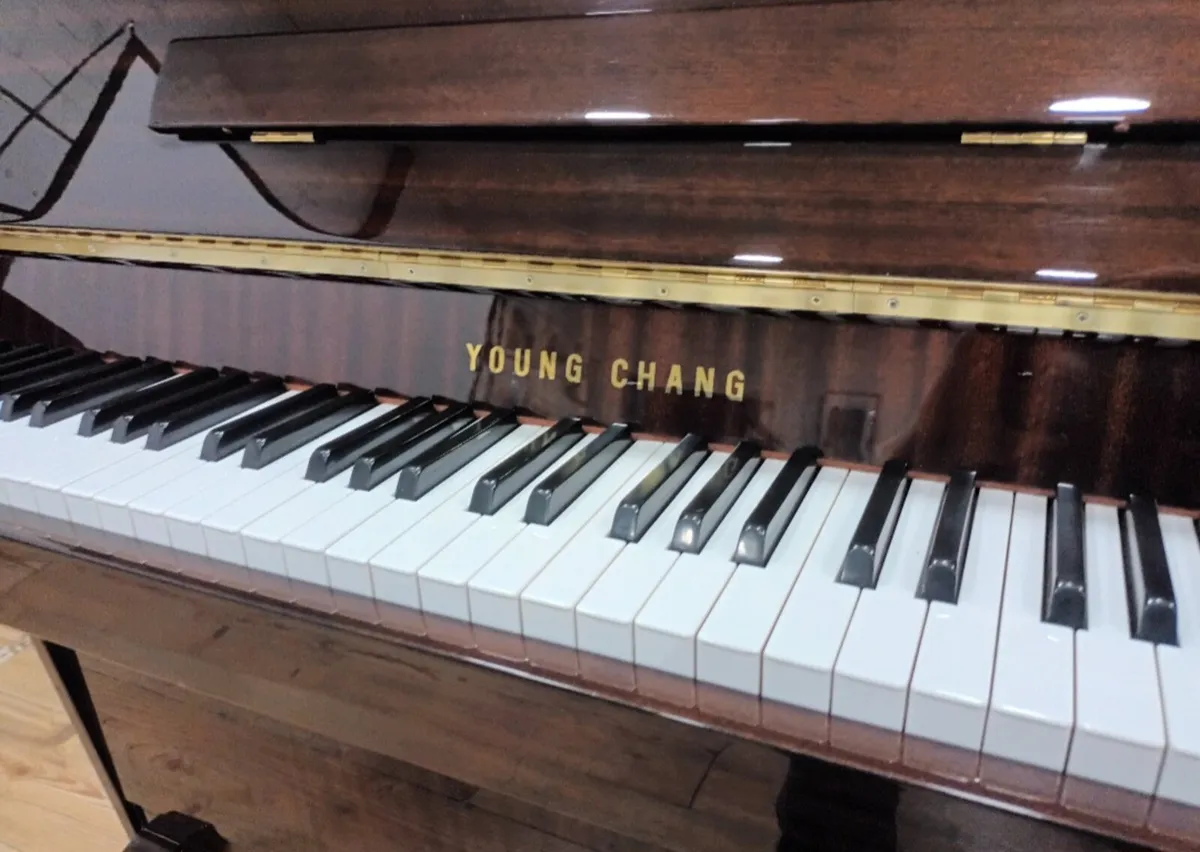 Young Chang | Very Compact | Smallest Dimensions - Image 2